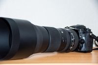 NIKON D7200 mit SIGMA 150-600mm F/5-6.3 DG OS HSM Contemporary