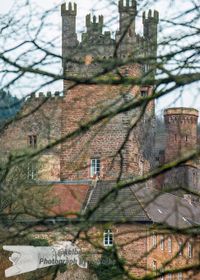 Mittelburg/Neckarsteinach - NIKON D7200 mit TAMRON SP 70-300mm